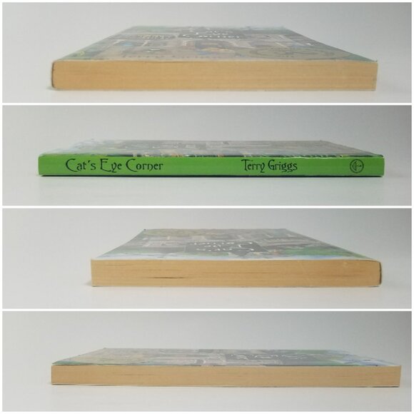 Cat's Eye Corner by Terry Griggs (2000 Trade Paperback) Cat's Eye Corner book 1 - Picture 12 of 13